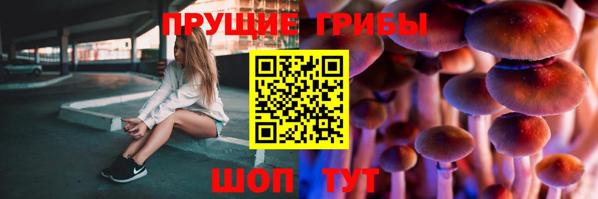 Псилоцибиновые грибы MAGIC MUSHROOMS  Вход с VPN  Галлюциногенные грибы Psilocybe  Бор 